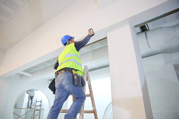 Best Drywall Installation  in Pasadena Hills, MO